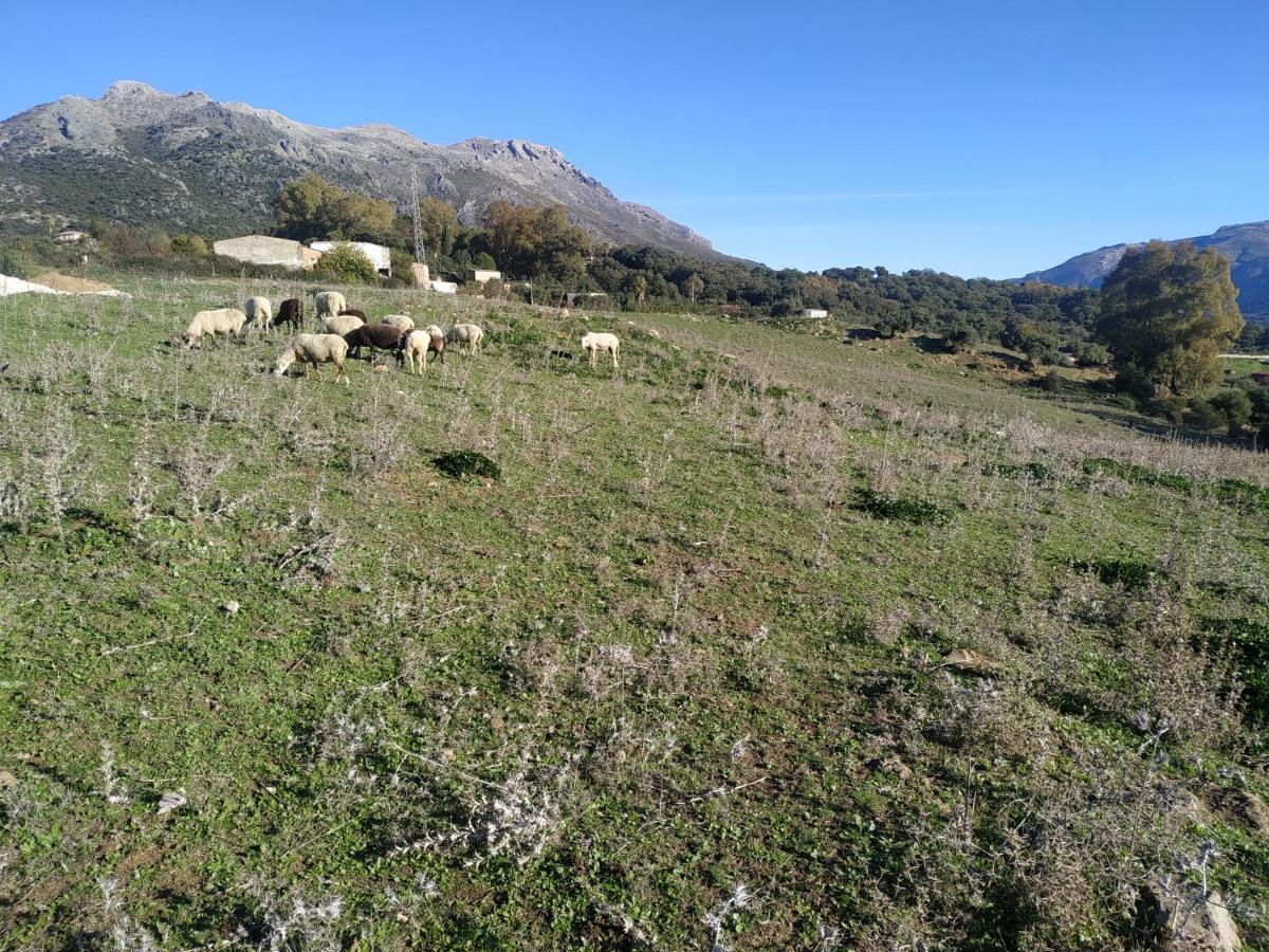 Apartamento Valle Del Guadiaro Cortes de la Frontera Exteriér fotografie